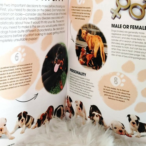 Happy Dog Book 100 Tail-Wagging Tips - Picture 8 of 8